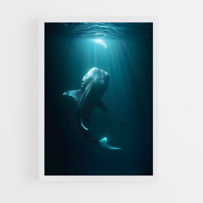 ap-whale shark-8 cadre Blanc