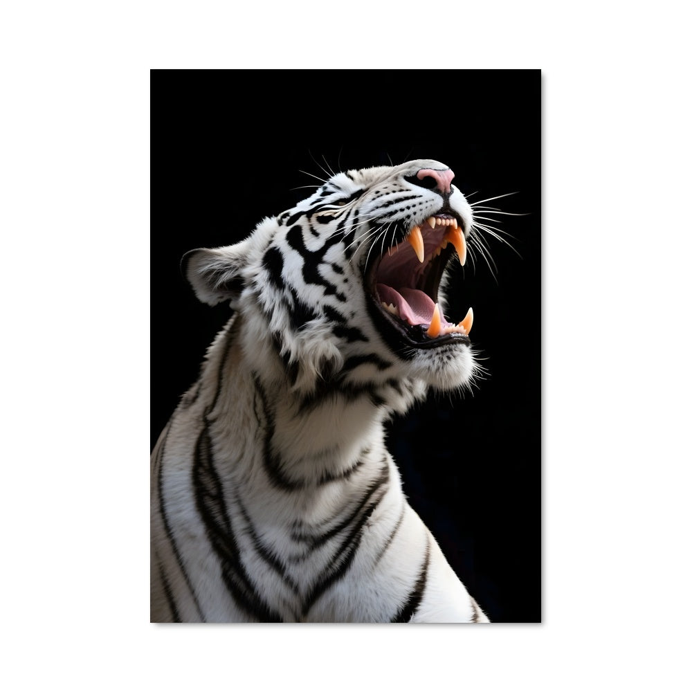 Poster Tigre des Neiges