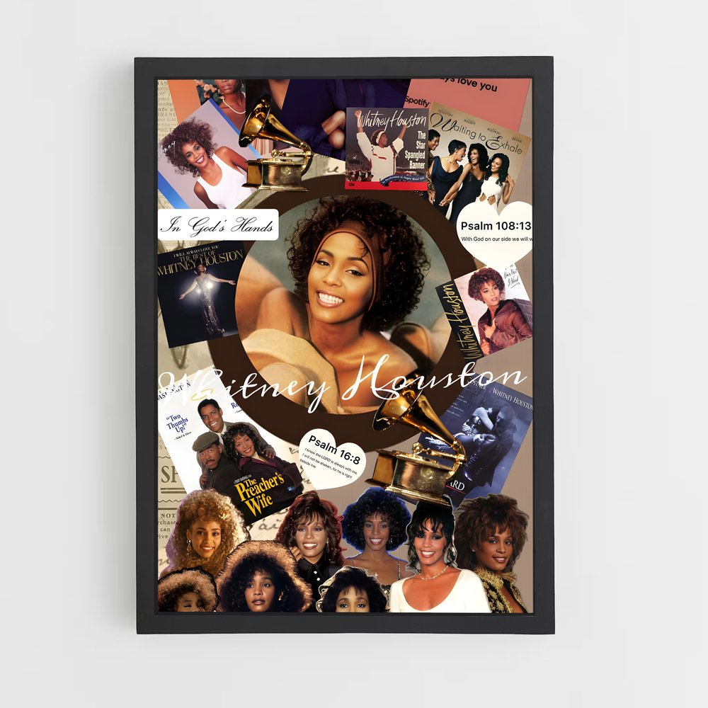 ap-whitney houston-8 cadre Noir