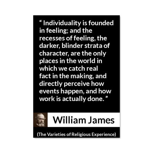 Poster William james 13620