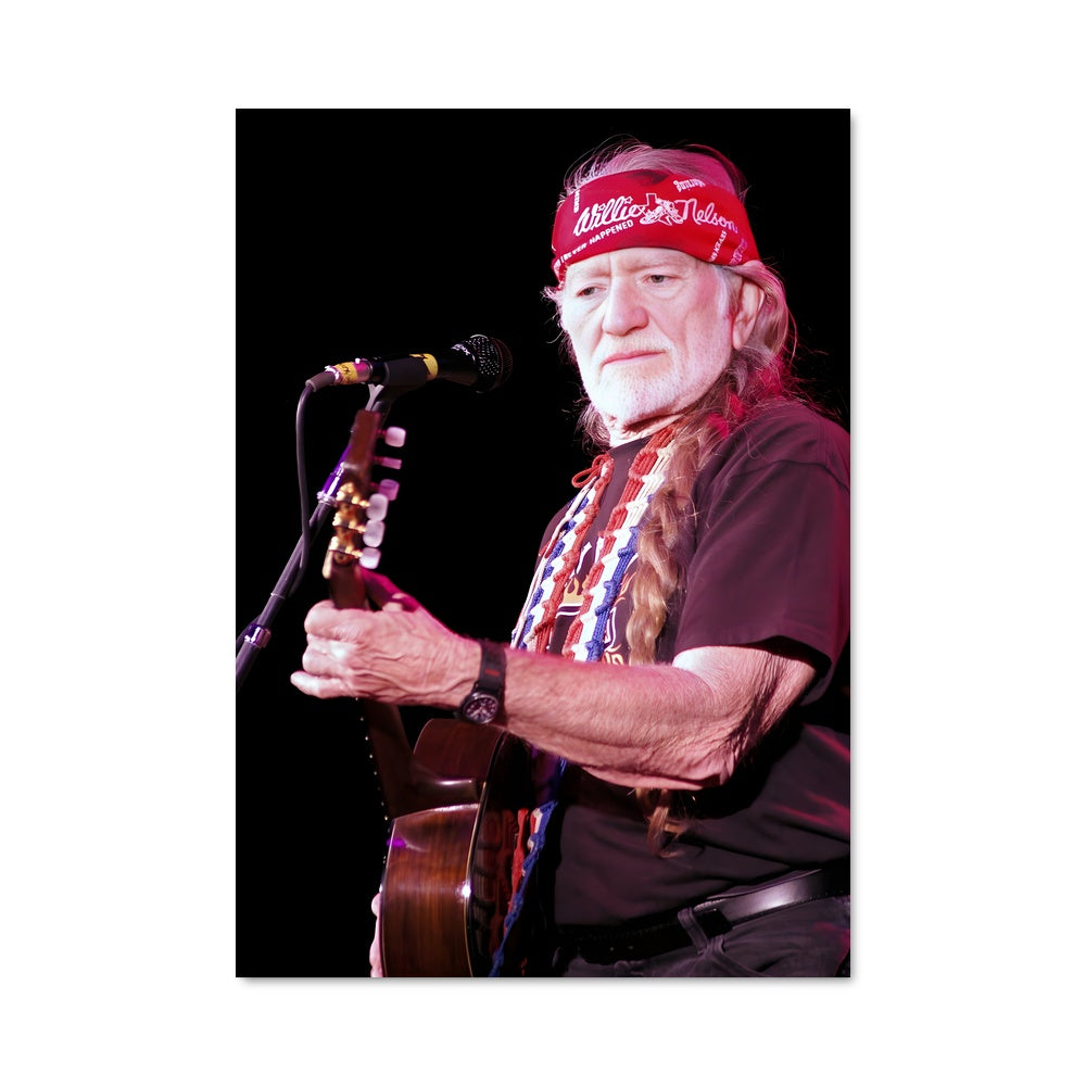 Poster Willie in Concert