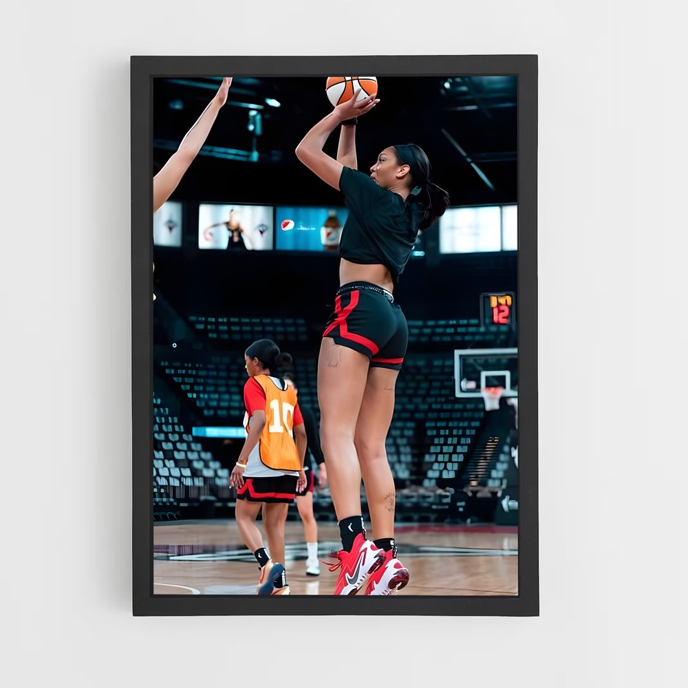 ap-wnba-3 cadre Noir