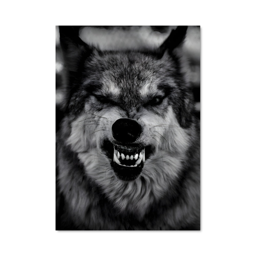 Poster Loup Énigmatique