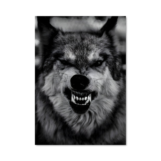 Poster Loup Énigmatique