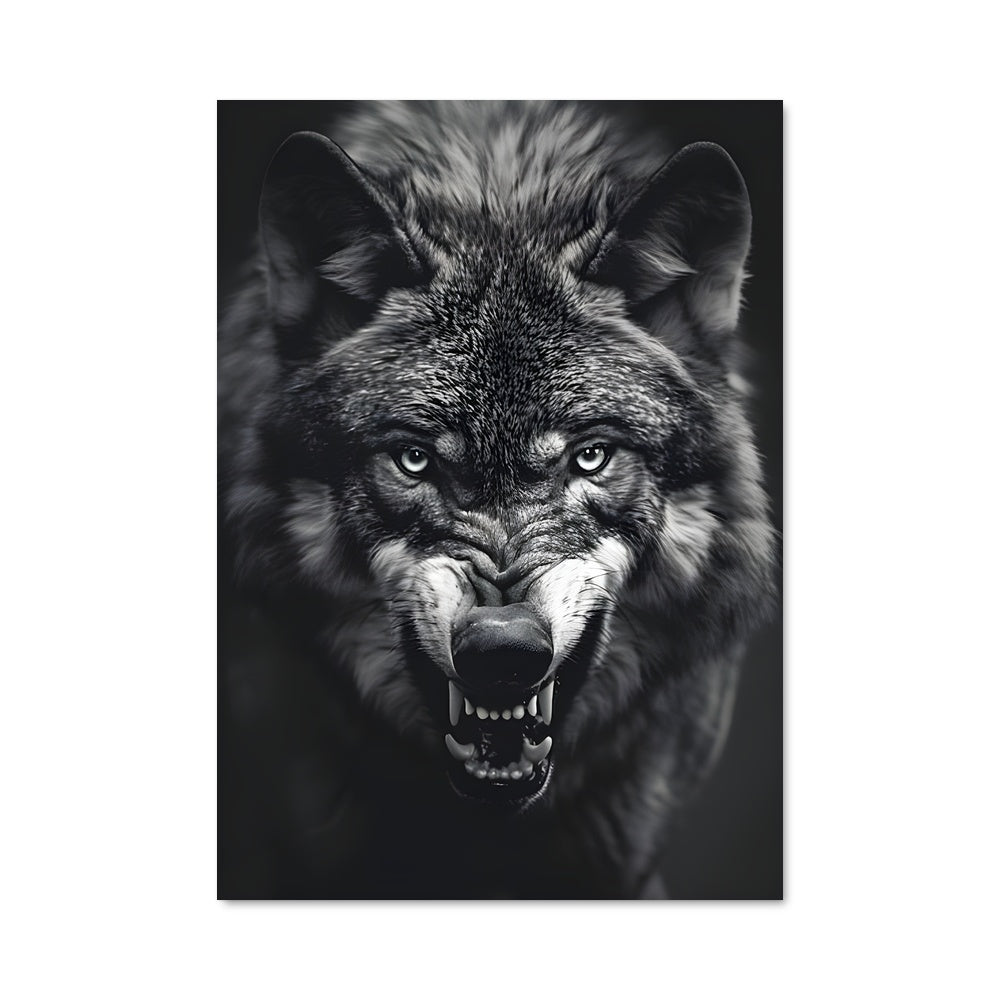 Poster Loup Rugissant