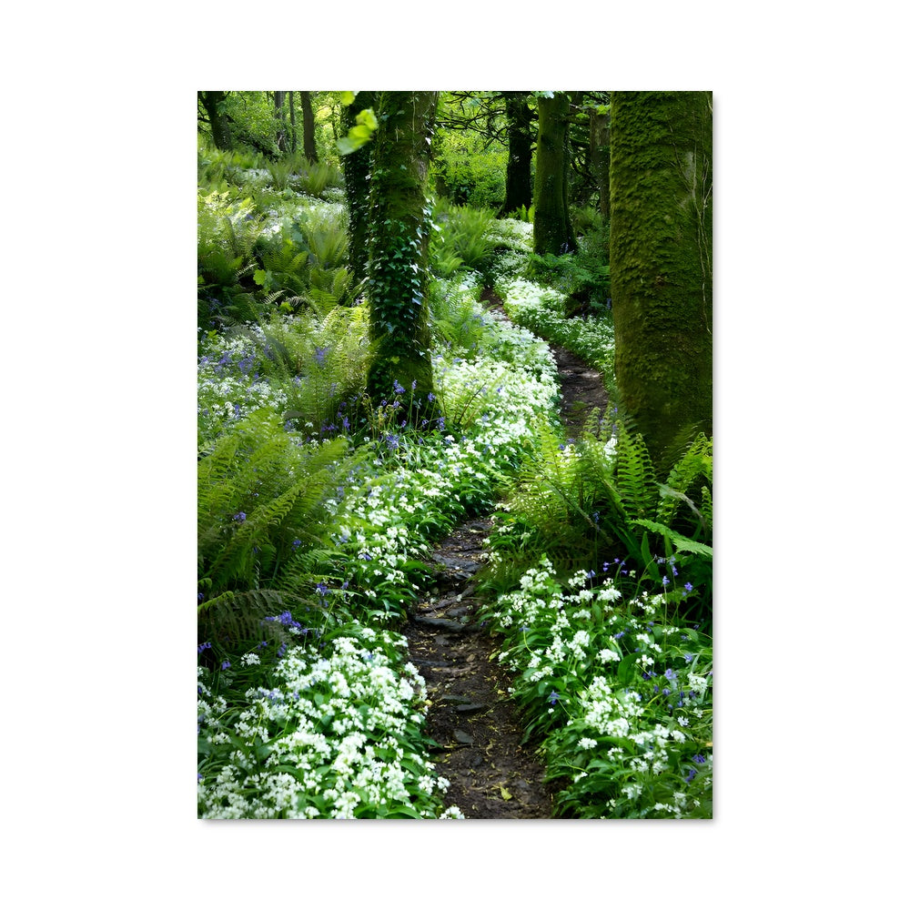 Poster Woodland 95006