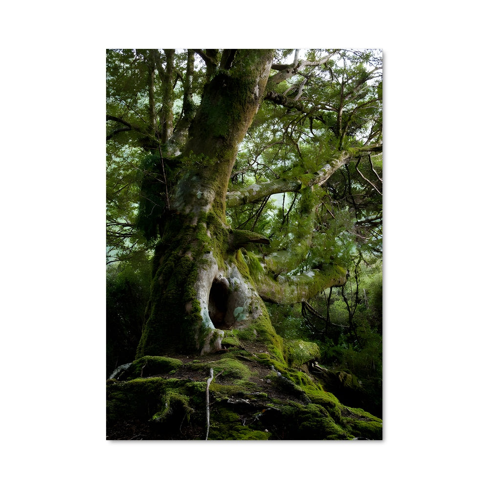 Poster Woodland 95009