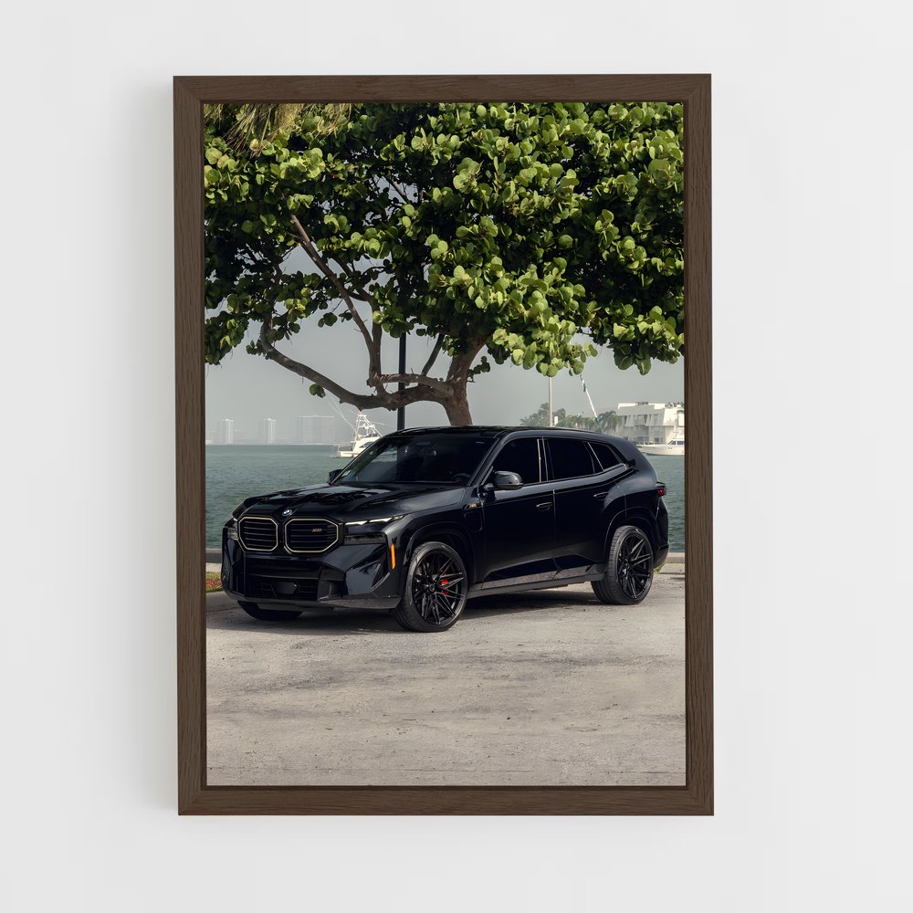 ap-x4m-2 cadre Bois foncé