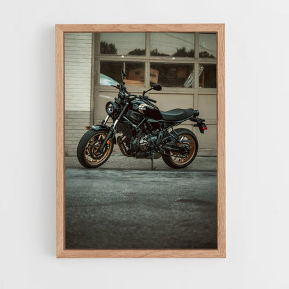 ap-xsr700-1 cadre Bois clair
