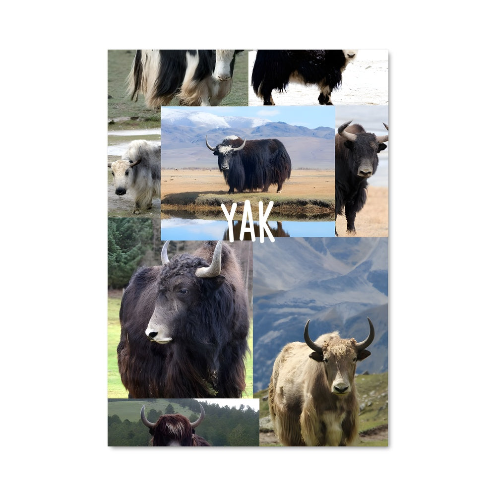 Poster Yak Attack