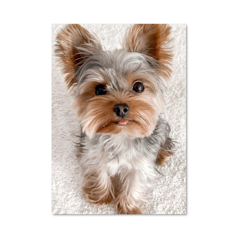 Poster Yorkshire Serenity