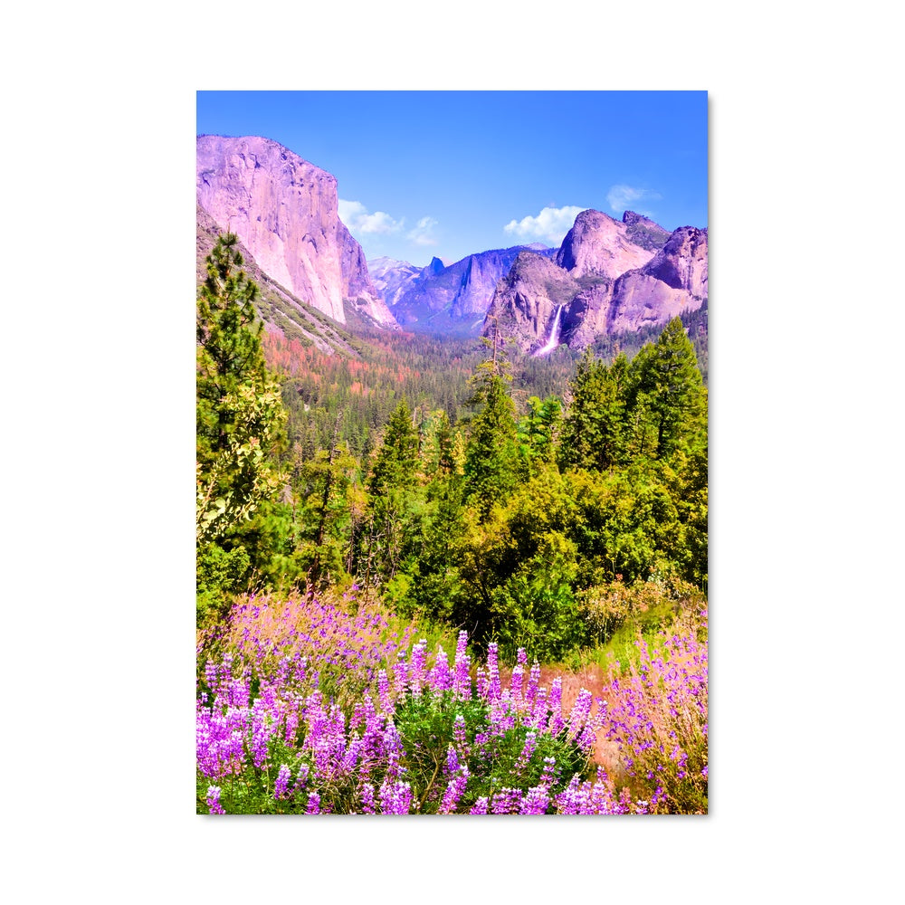 Poster Éclat de Yosemite