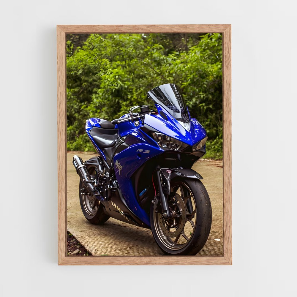ap-yzf-r3-2 cadre Bois clair