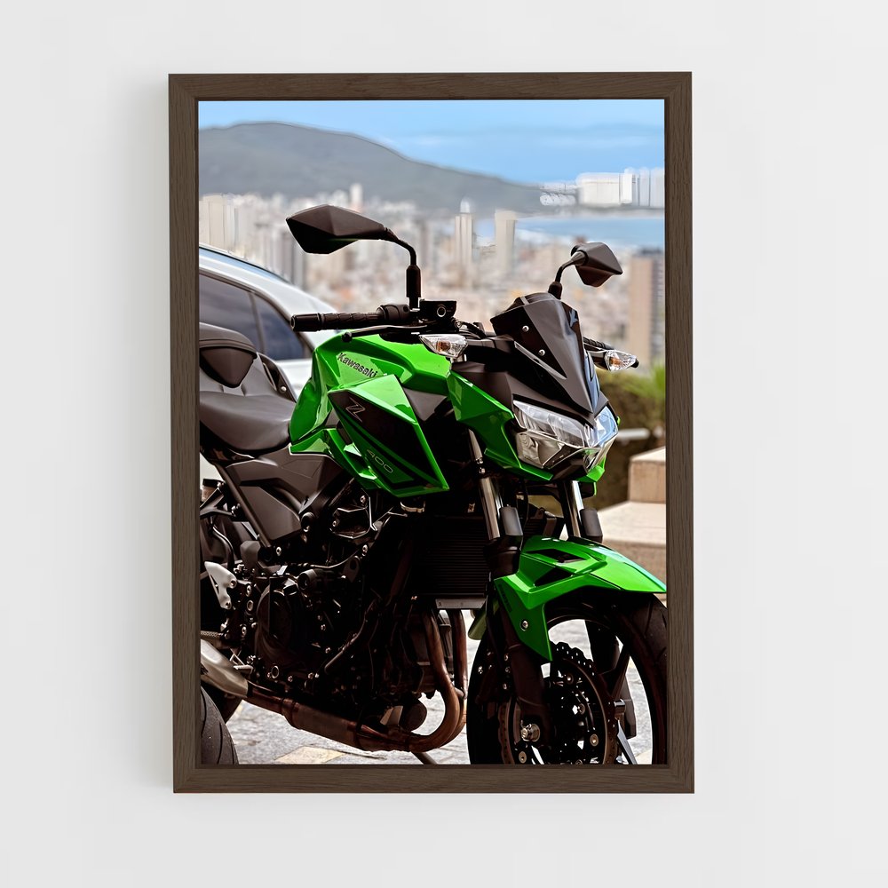 ap-z400-3 cadre Bois foncé