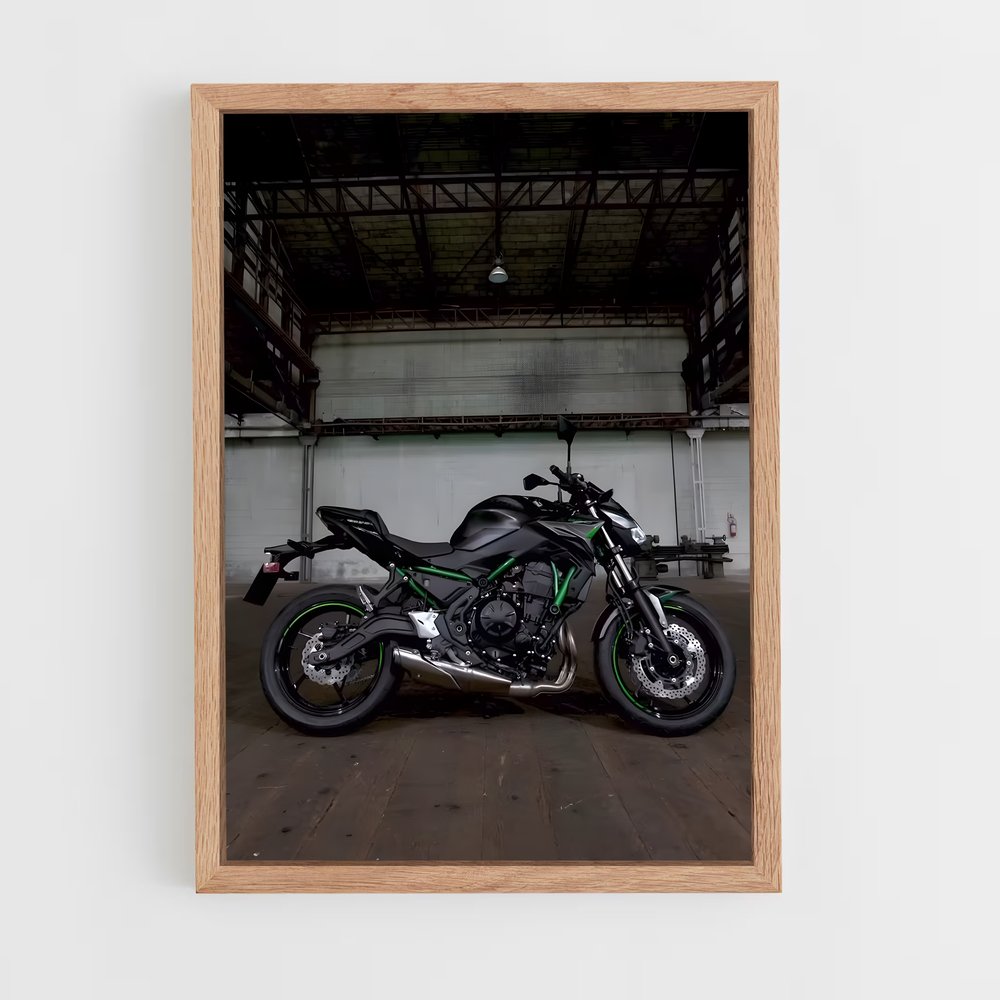 ap-z650-1 cadre Bois clair