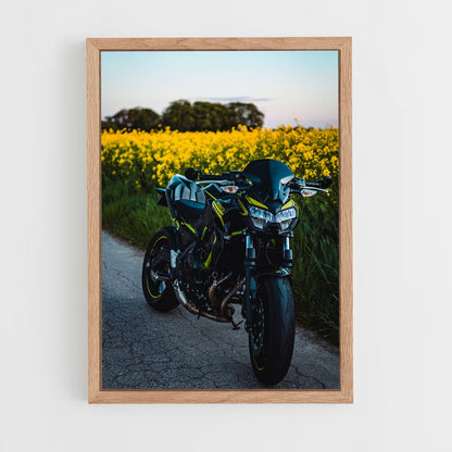 ap-z650-4 cadre Bois clair