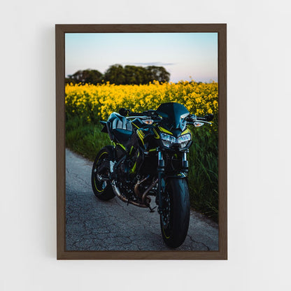ap-z650-4 cadre Bois foncé