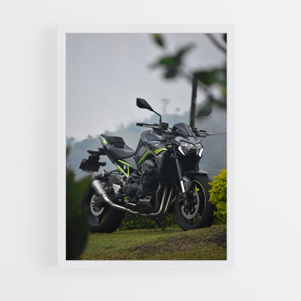 ap-z900-10 cadre Blanc