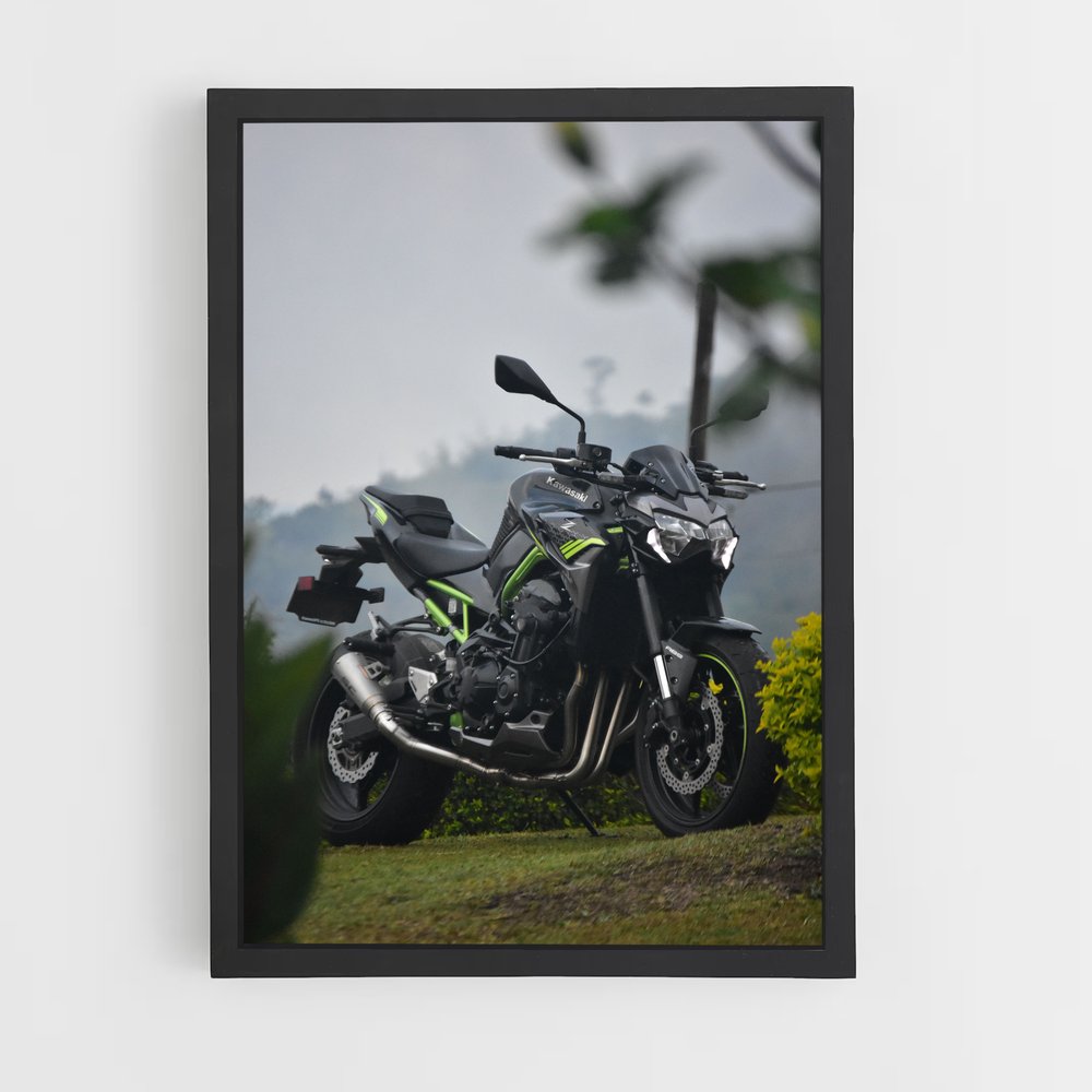 ap-z900-10 cadre Noir