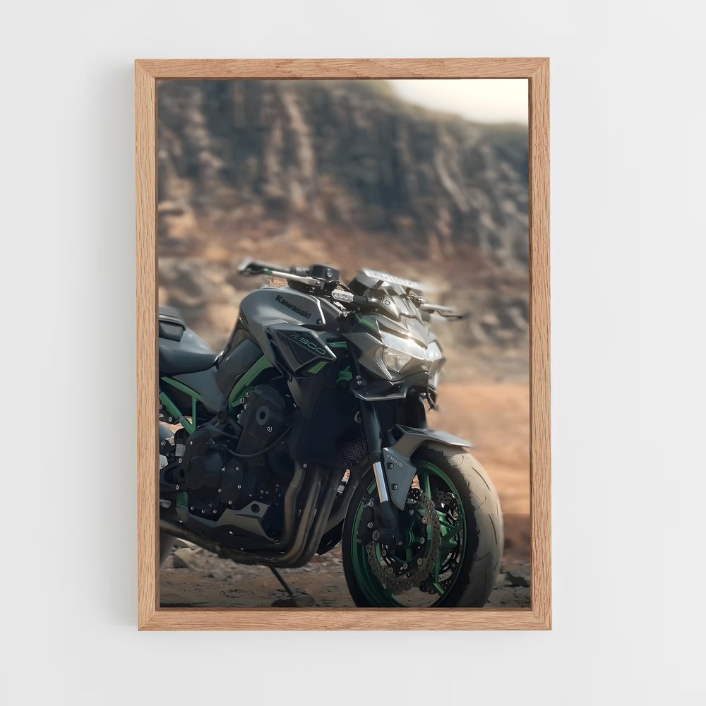 ap-z900-6 cadre Bois clair