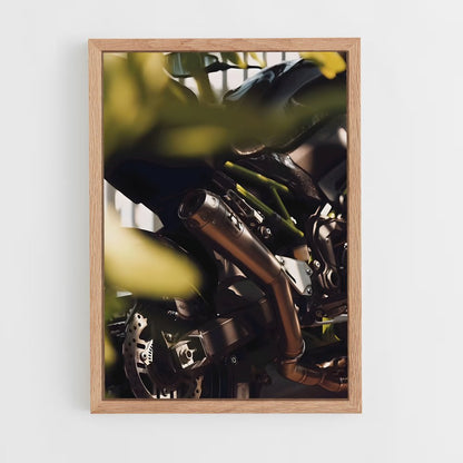 ap-z900-9 cadre Bois clair