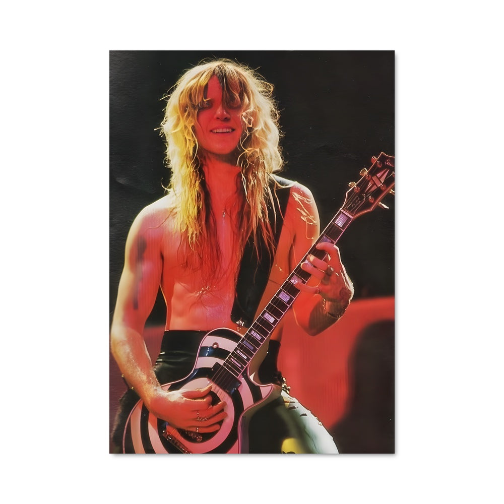 Poster Wild Strings