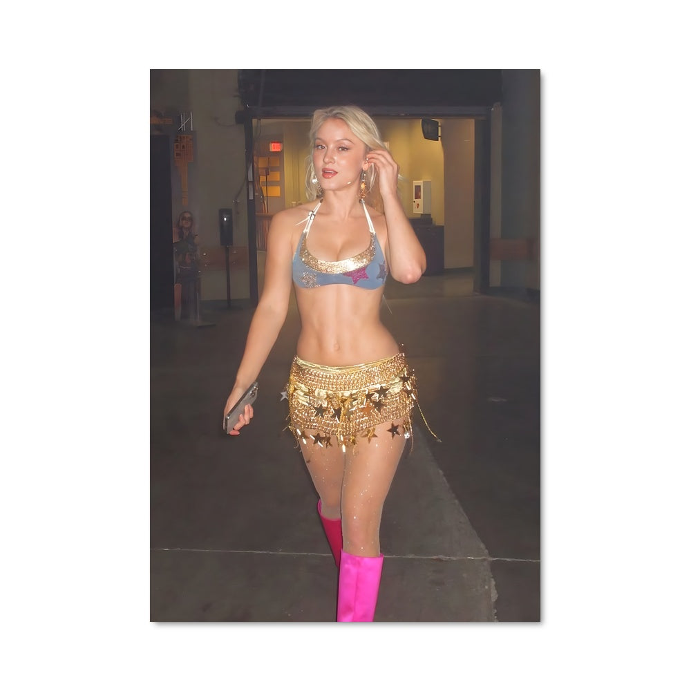 Poster Zara larsson 52922