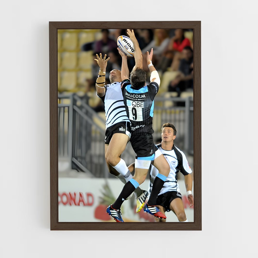 ap-zebre-2 cadre Bois foncé