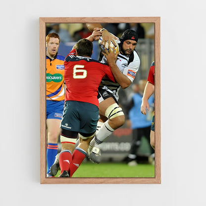 ap-zebre-4 cadre Bois clair