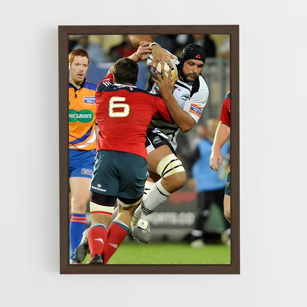 ap-zebre-4 cadre Bois foncé