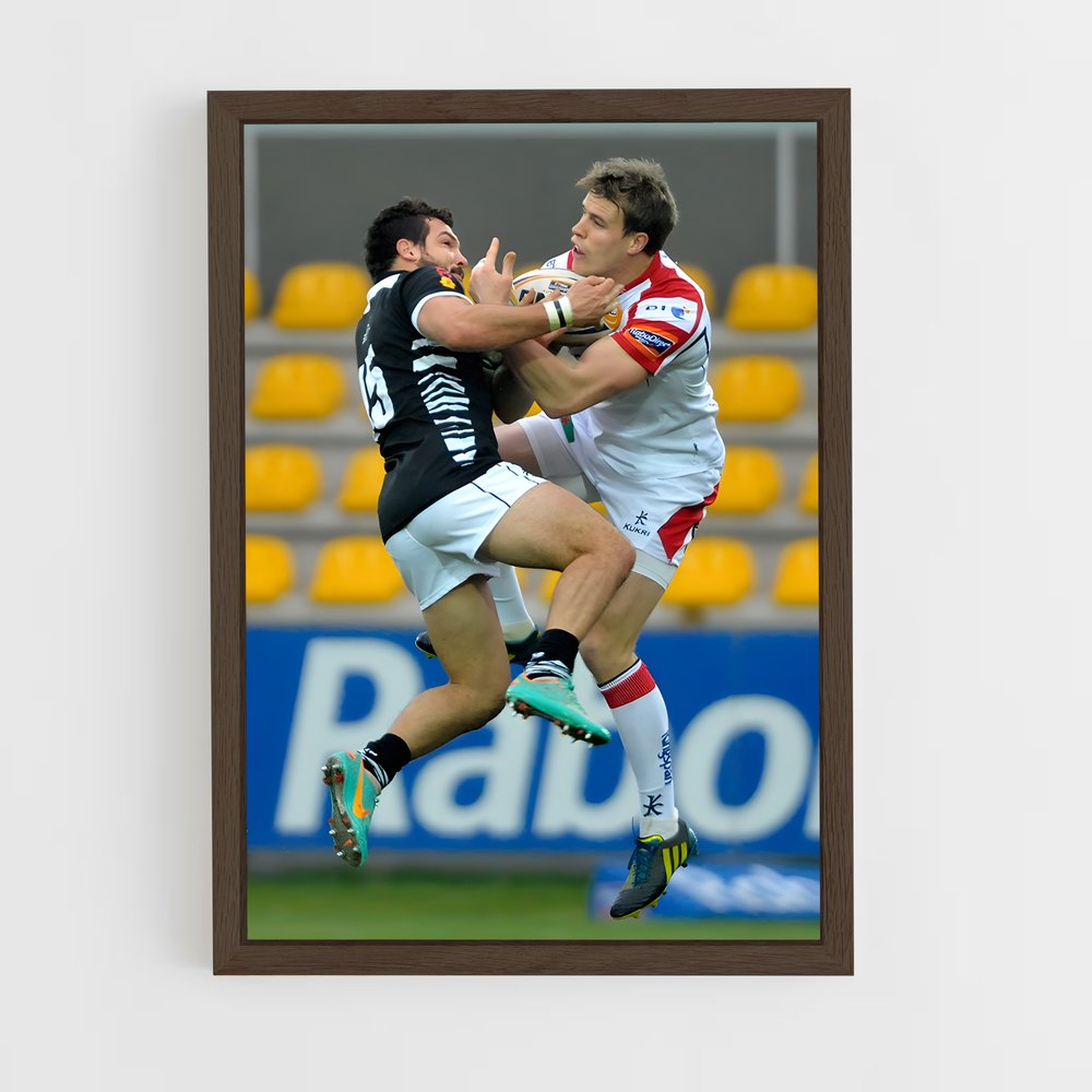 ap-zebre-7 cadre Bois foncé