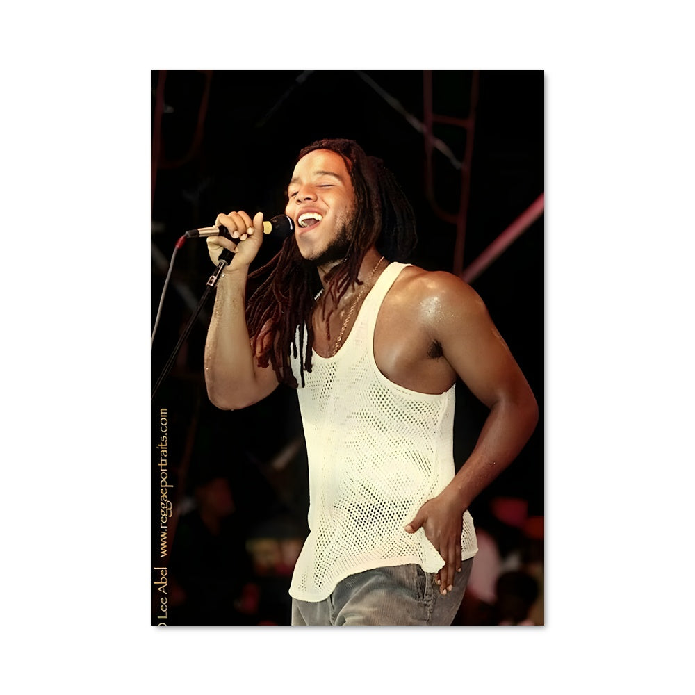 Poster Ziggy marley 52898