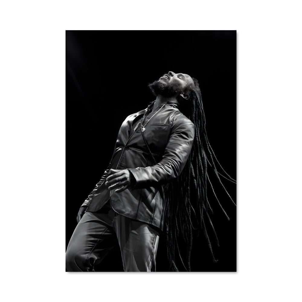 Poster Ziggy marley 52900