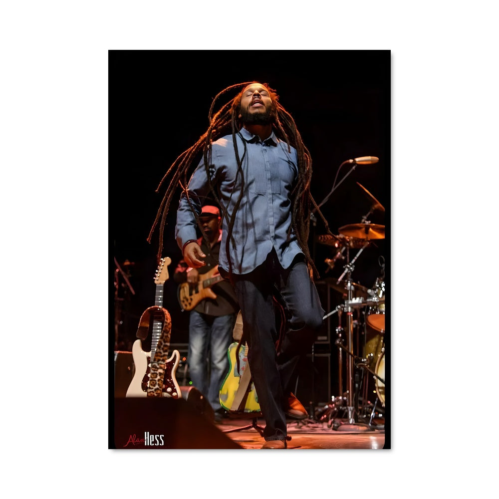 Poster Ziggy marley 52901