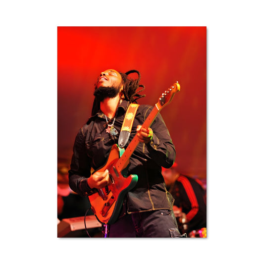 Poster Live in Harmony
