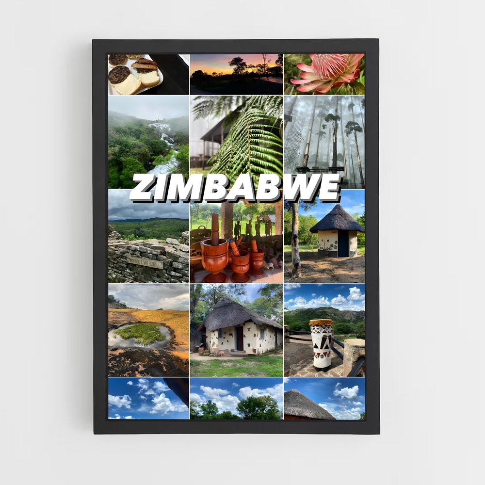 ap-zimbabwe-1 cadre Noir