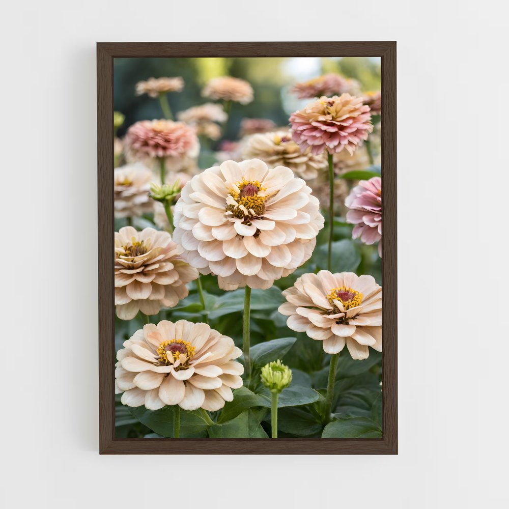 ap-zinnia-3 cadre Bois foncé