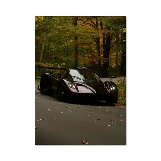 Poster Zonda r 79073