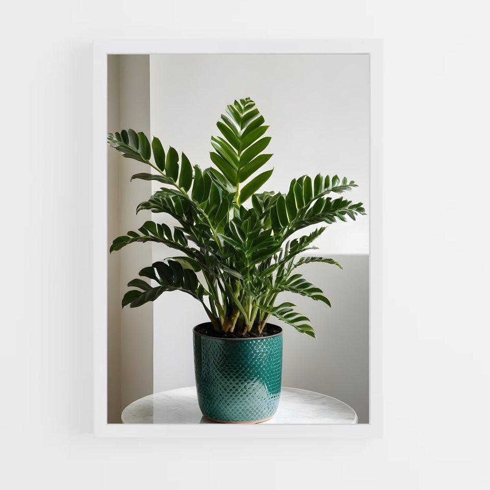 ap-zz plant-1 cadre Blanc