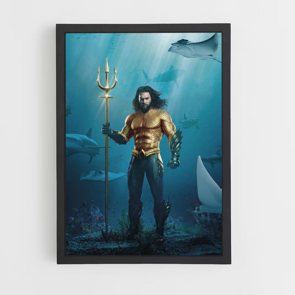 Poster Aquaman-Kostüm