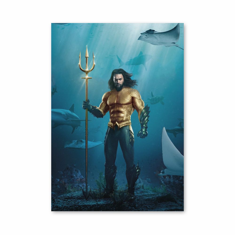 Poster Aquaman-Kostüm