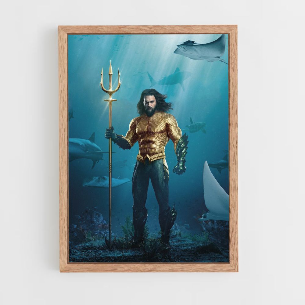 Poster Aquaman-Kostüm