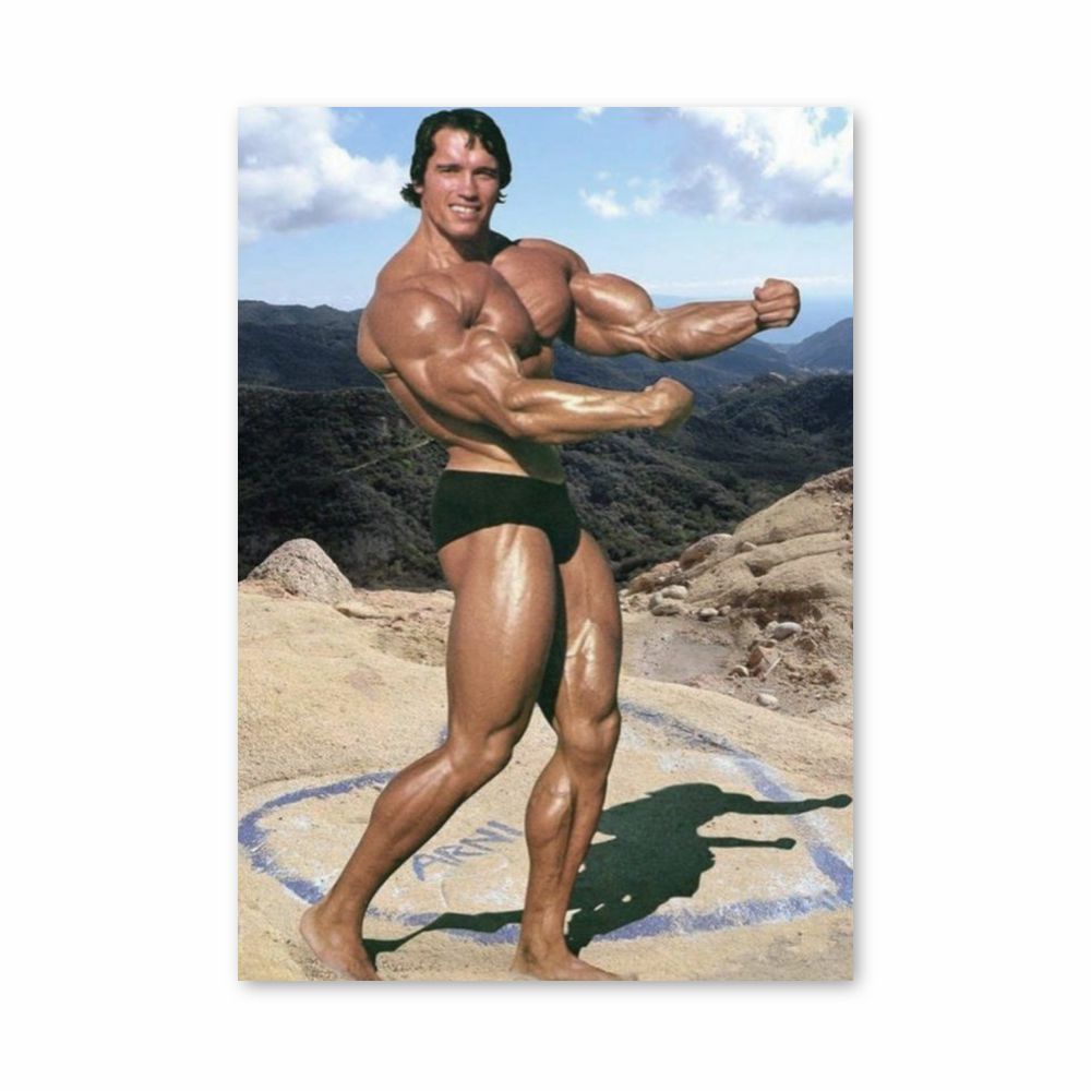 Plakat Arnold Schwarzenegger