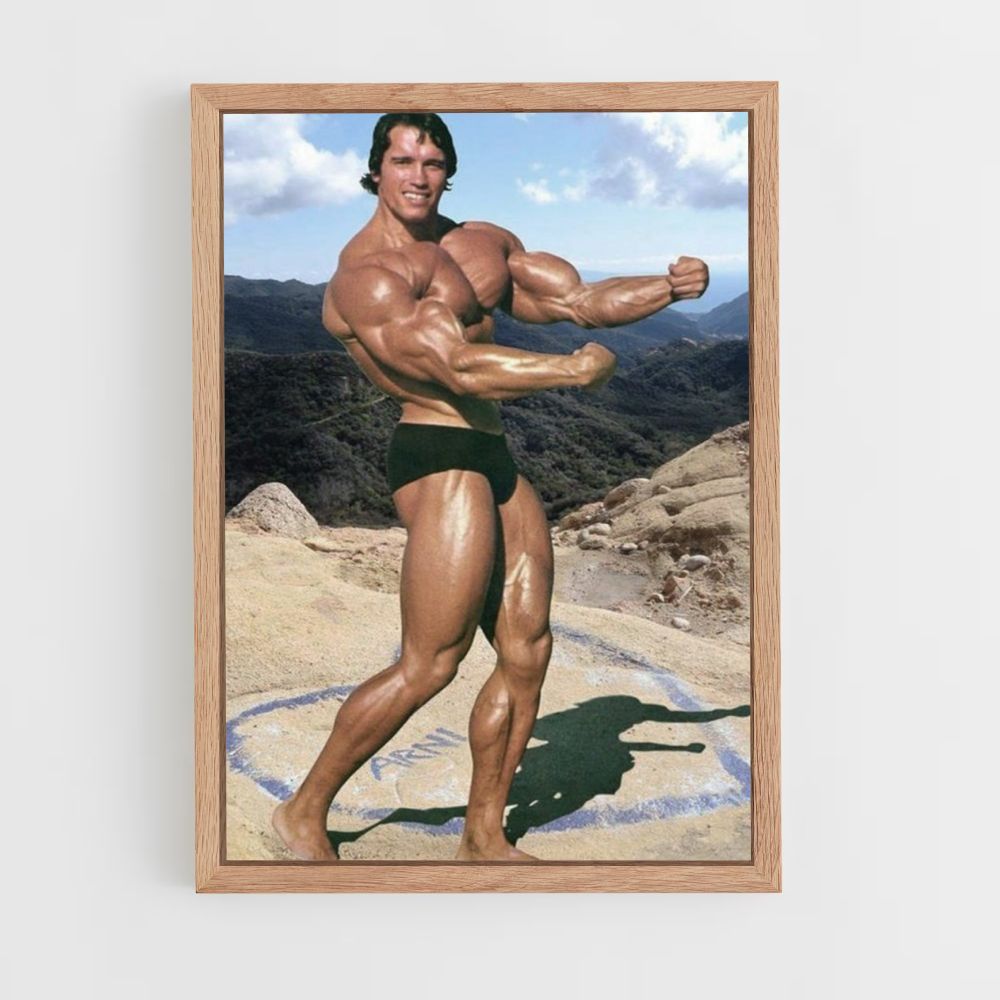 Plakat Arnold Schwarzenegger