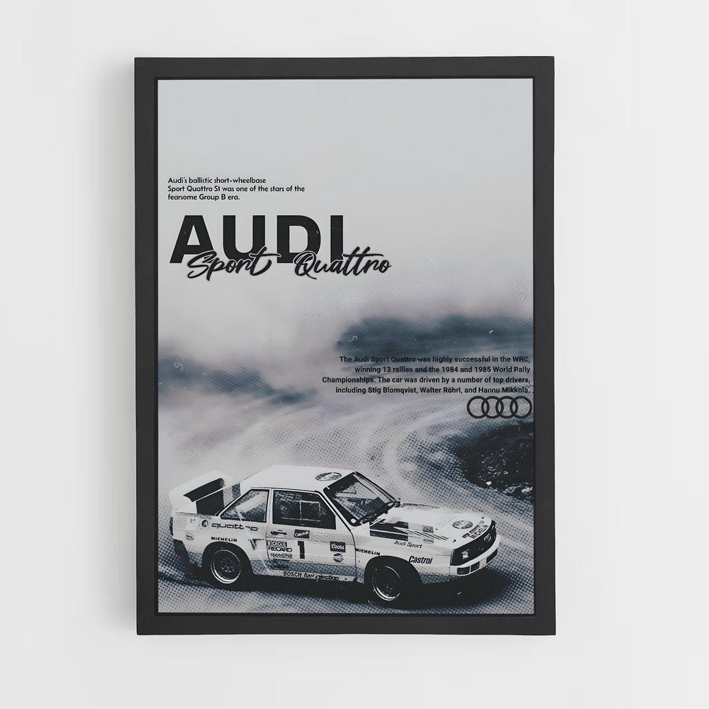 audi-5 cadre Noir