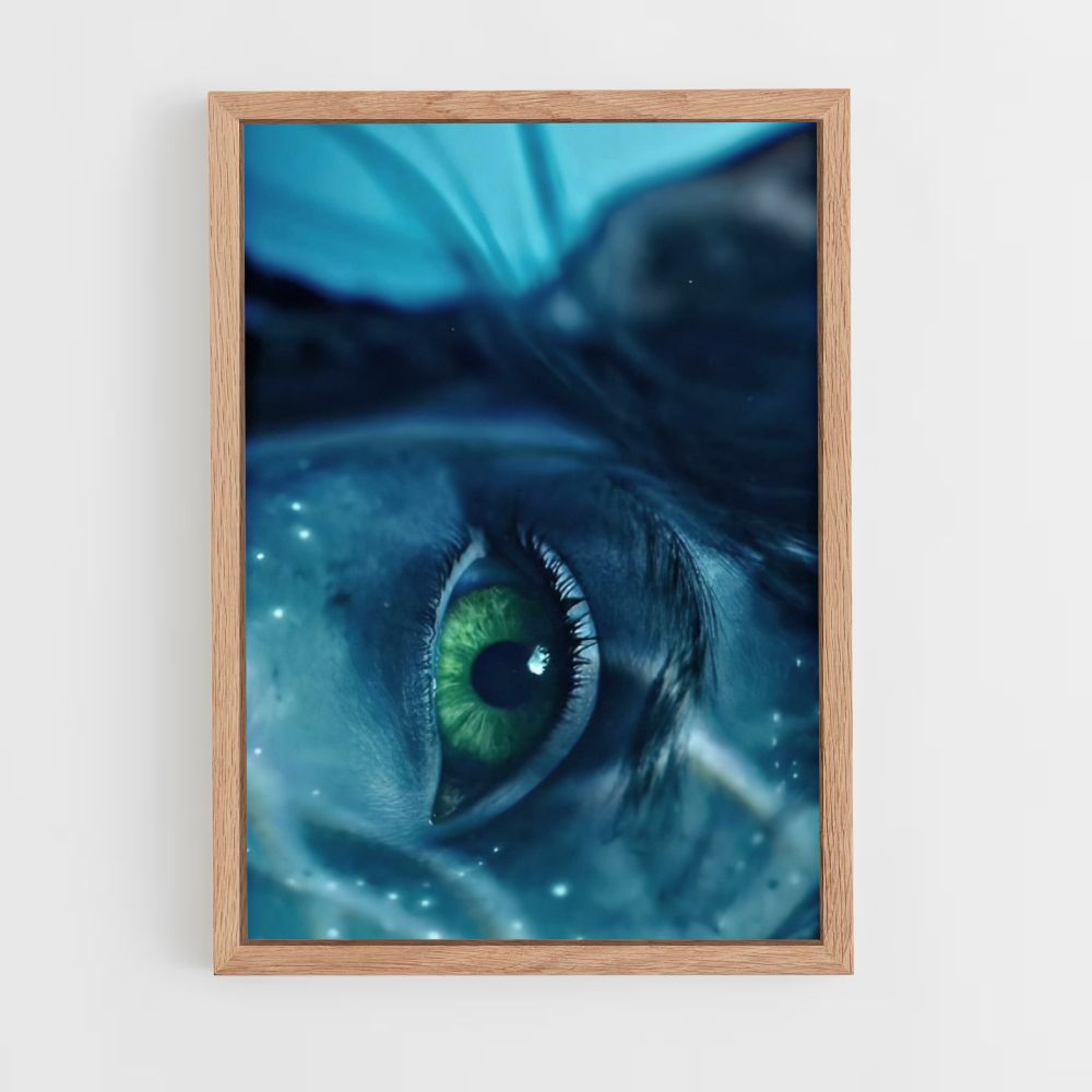 Navi Eye Poster