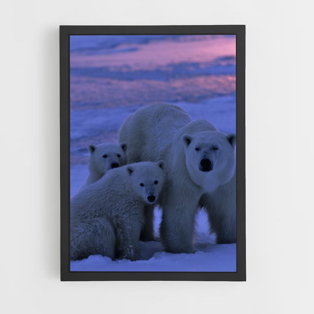 Poster Weiße Bärenfamilie