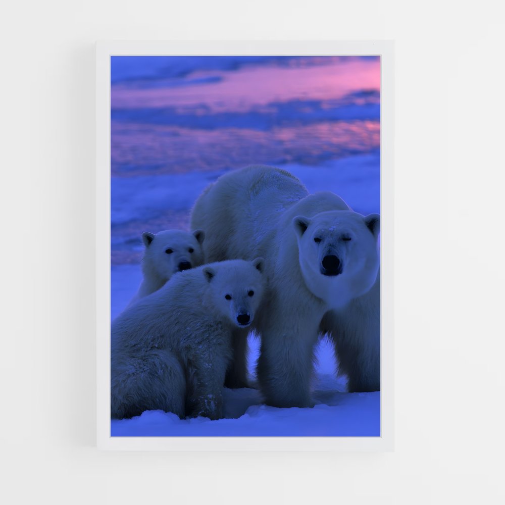 bear-1 cadre Blanc