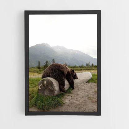 Grizzlybär-Poster