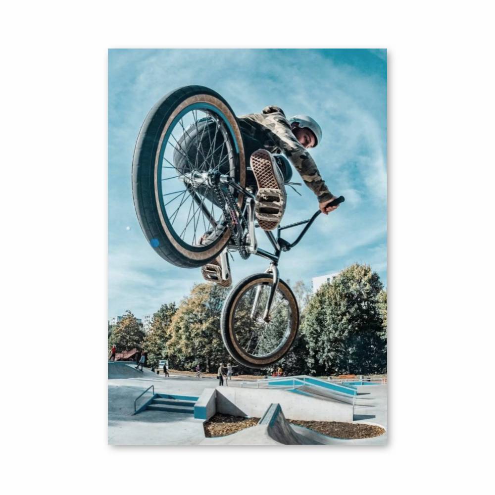 Poster BMX Stunt